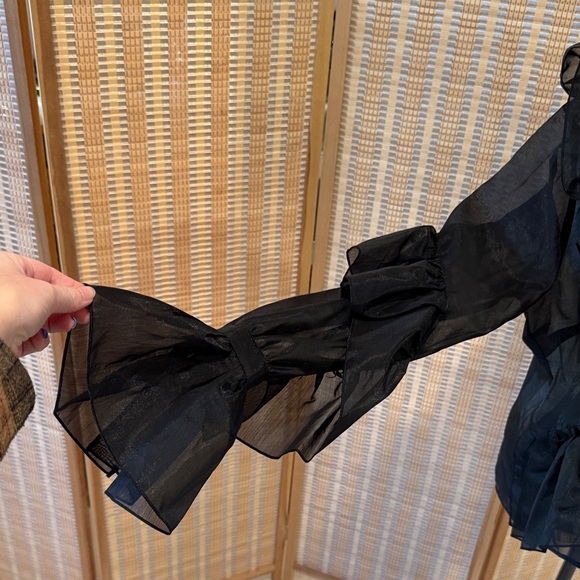 H&M Sheer Black Ruffled Blouse - Picture 2 of 9